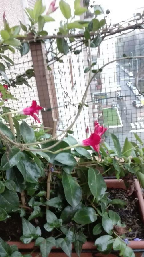 דירות פאביה Vittadinisette מראה חיצוני תמונה